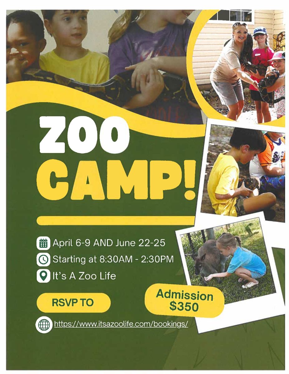 Zoo Life Camp